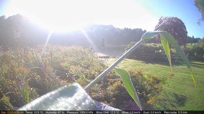 2025-09-12