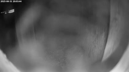 2025-09-01