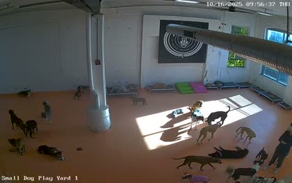 2025-10-16