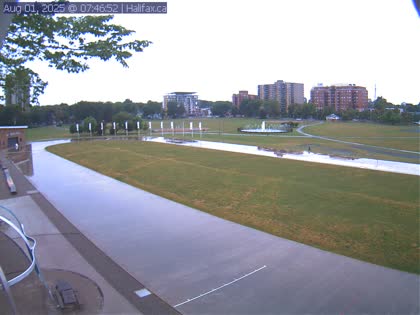 2025-08-01
