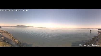 2025-08-23