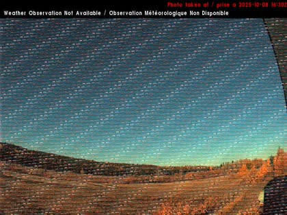 2025-10-08