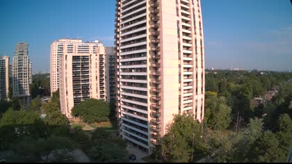 2025-08-12