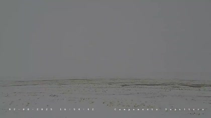 2025-08-03