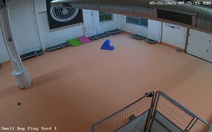 2025-05-22