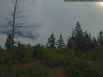 2025-08-02