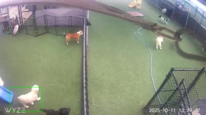 2025-10-12