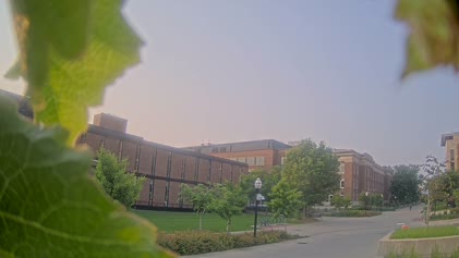 2025-06-08