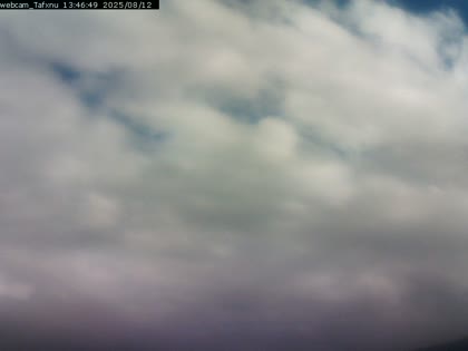 2025-08-12