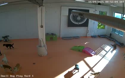 2025-10-04