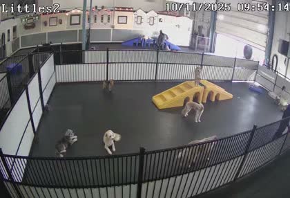 2025-10-11