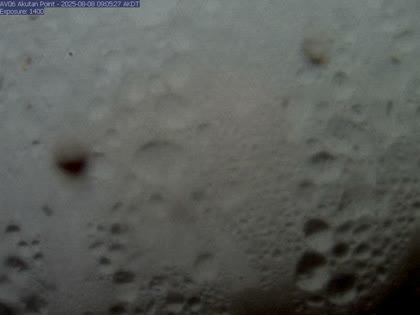 2025-08-08