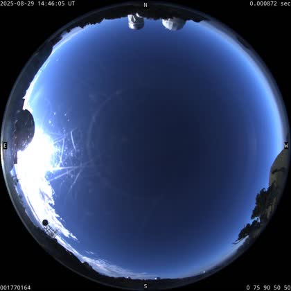 2025-08-29