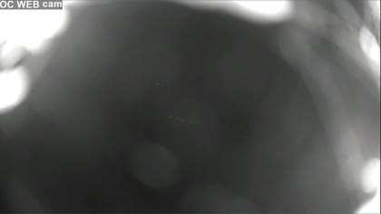 2025-07-31