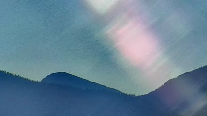 2025-08-12