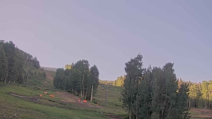 2025-07-13
