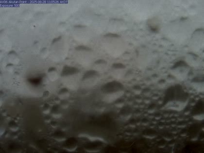 2025-08-29