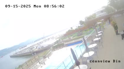2025-09-15