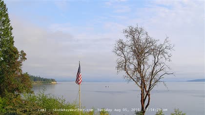 2025-08-05