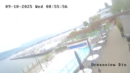 2025-09-10