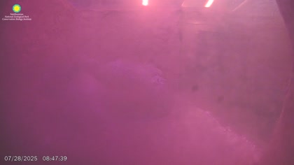 2025-07-28