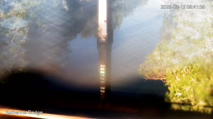 2025-06-12