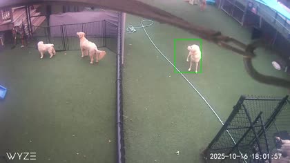 2025-10-17