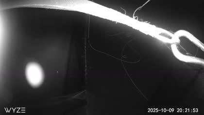 2025-10-10