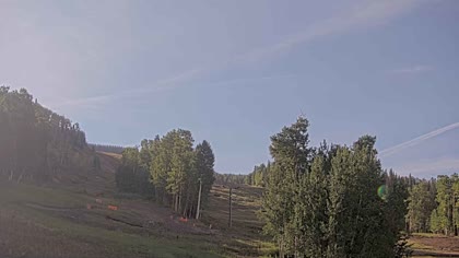 2025-09-04