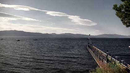 2026-06-06