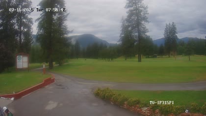 2025-07-15