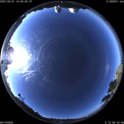 2025-08-01