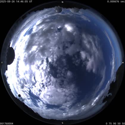 2025-08-26