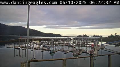 2025-06-10