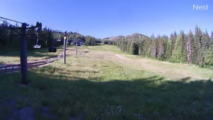 2025-07-05