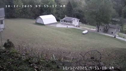 2025-10-12