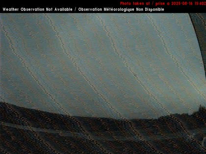 2025-08-16