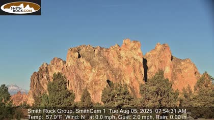 2025-08-05