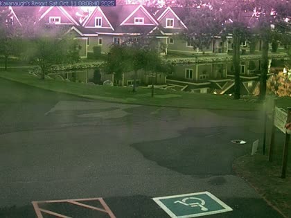 2025-10-11