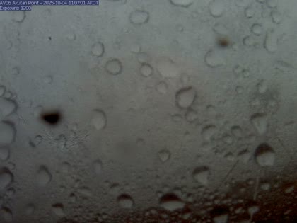 2025-10-04