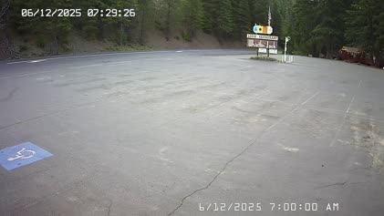 2025-06-12