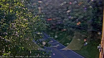 2025-08-07