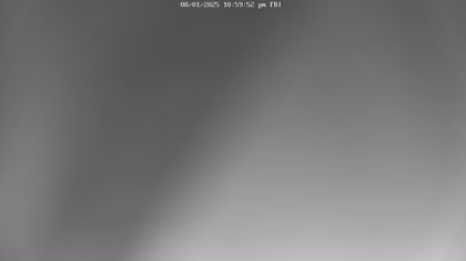2025-08-02