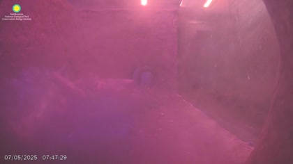 2025-07-05