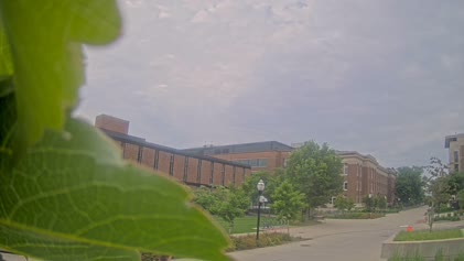 2025-06-06