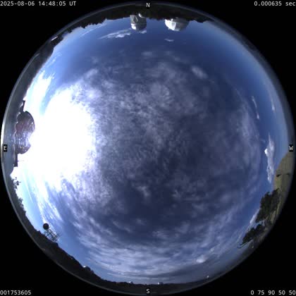 2025-08-06