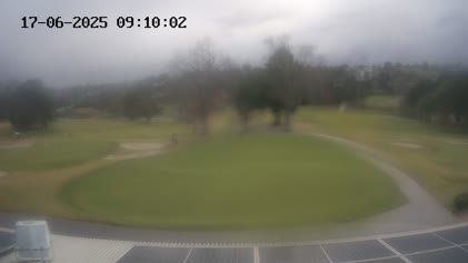 2025-06-17