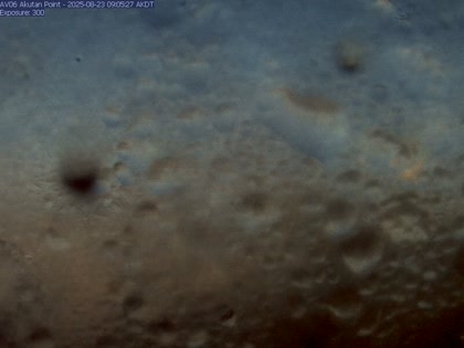 2025-08-23
