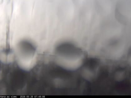 2026-05-20