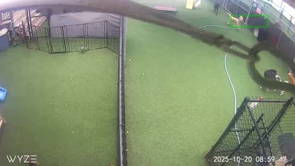 2025-10-20